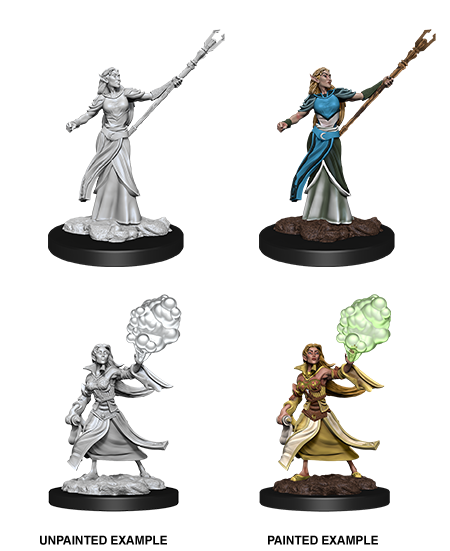Elf Sorcerer - D&D Nolzurs Marvelous Miniatures image 0