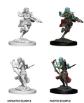Air Genasi Rogue - D&D Nolzurs Marvelous Miniatures image 0