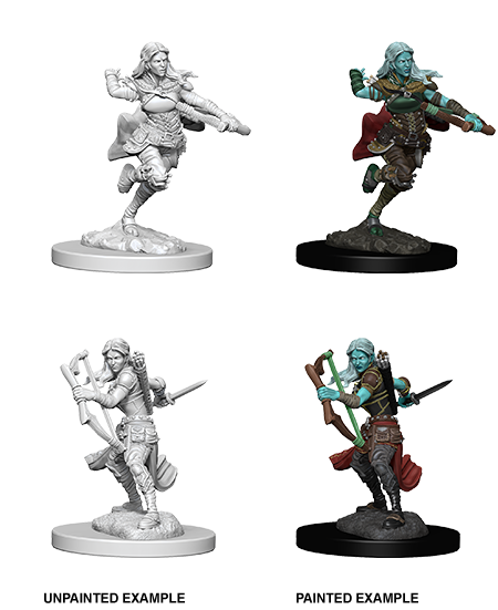 Air Genasi Rogue - D&D Nolzurs Marvelous Miniatures image 0