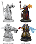 Human wizard ( Male ) - D&D Nolzurs Marvelous Miniatures image 0