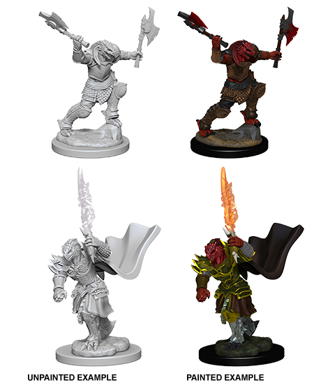 Dragonborn Fighter ( Female ) - D&D Nolzurs Marvelous Miniatures image 0