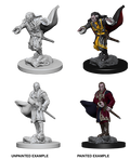 Vampires - D&D Nolzurs Marvelous Miniatures image 0