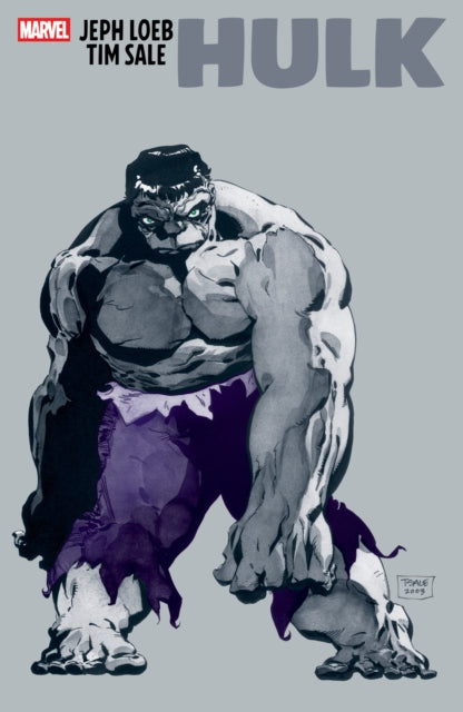 Hulk : Grey  Jeph Loeb & Tim Sale image 0