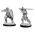 Human Paladin ( Male ) - D&D Nolzurs Marvelous Miniatures