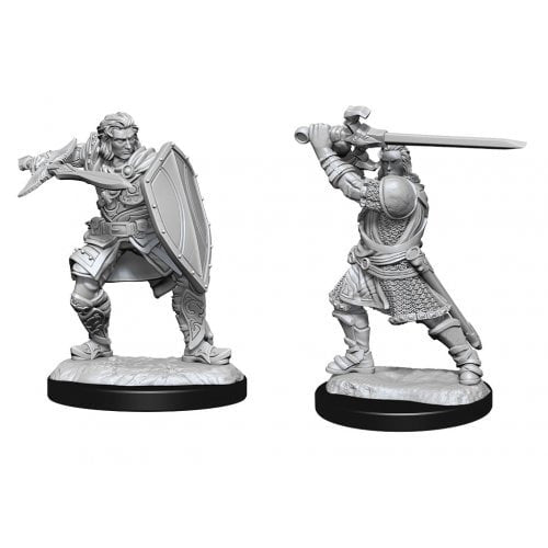 Human Paladin ( Male ) - D&D Nolzurs Marvelous Miniatures