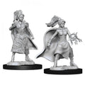 Human Sorcerer ( Female ) - D&D Nolzurs Marvelous Miniatures
