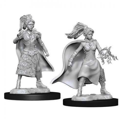 Human Sorcerer ( Female ) - D&D Nolzurs Marvelous Miniatures