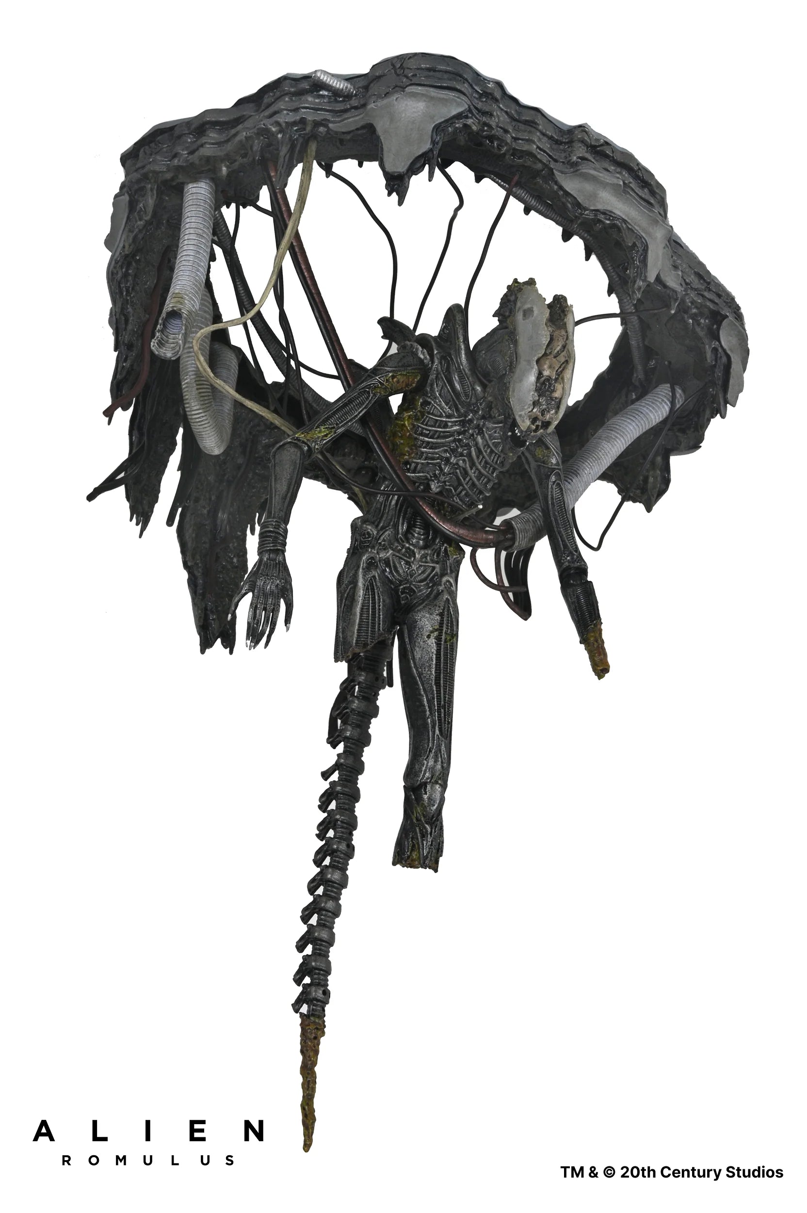 Alien: Romulus - Deluxe Suspended Lab Xenomorph XX121 7" Figure