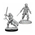 Vampire Hunters