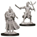 Elf Paladin ( male ) - D&D Nolzurs Marvelous Miniatures