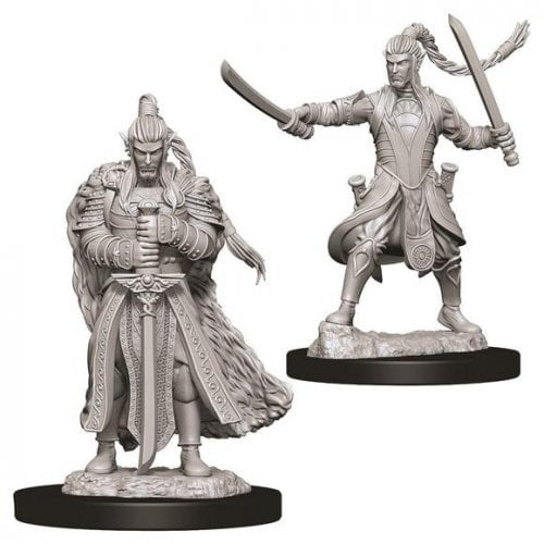 Elf Paladin ( male ) - D&D Nolzurs Marvelous Miniatures