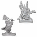 Dwarf Paladin