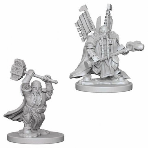Dwarf Paladin