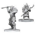 Bugbear Stalker & Goblin Hexer