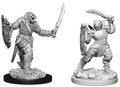Dragonborn Paladin