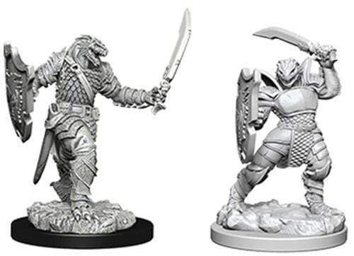 Dragonborn Paladin