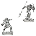 Dragonborn Fighter with Spear