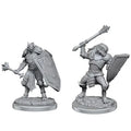 Dragonborn Clerics