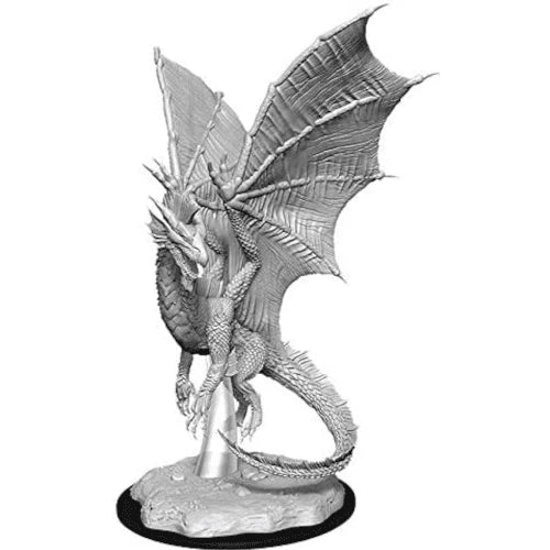 Young Silver Dragon