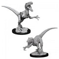 Raptors
