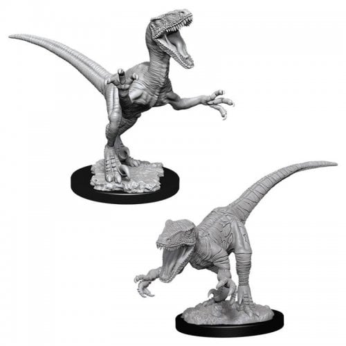 Raptors