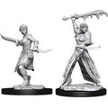 Succubus & Incubus