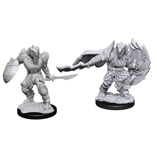 Dragonborn Fighter - D&D Nolzurs Marvelous Miniatures