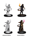 Tiefling Sorcerer - D&D Nolzurs Marvelous Miniatures image 0