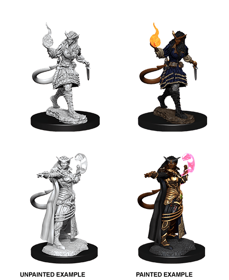 Tiefling Sorcerer - D&D Nolzurs Marvelous Miniatures image 0