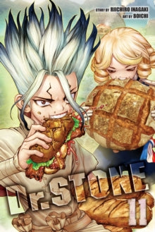Dr STONE, Vol. 11 image 0