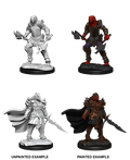 Dragonborn Fighter - D&D Nolzurs Marvelous Miniatures image 0