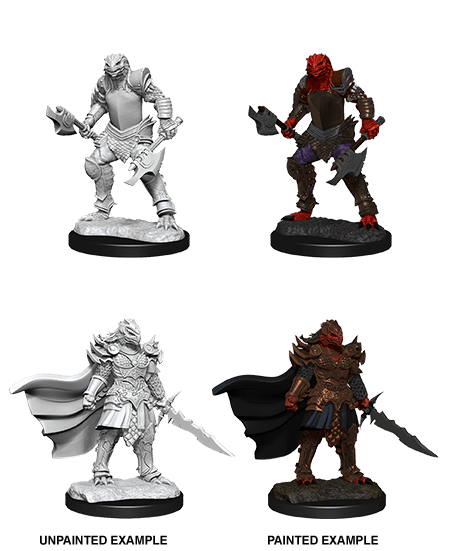 Dragonborn Fighter - D&D Nolzurs Marvelous Miniatures image 0