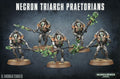 Necrons - Triarch Praetorians image 0