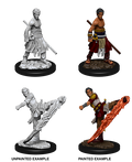 Half Elf Monk ( Male ) - D&D Nolzurs Marvelous Miniatures image 0
