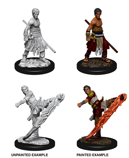 Half Elf Monk ( Male ) - D&D Nolzurs Marvelous Miniatures image 0