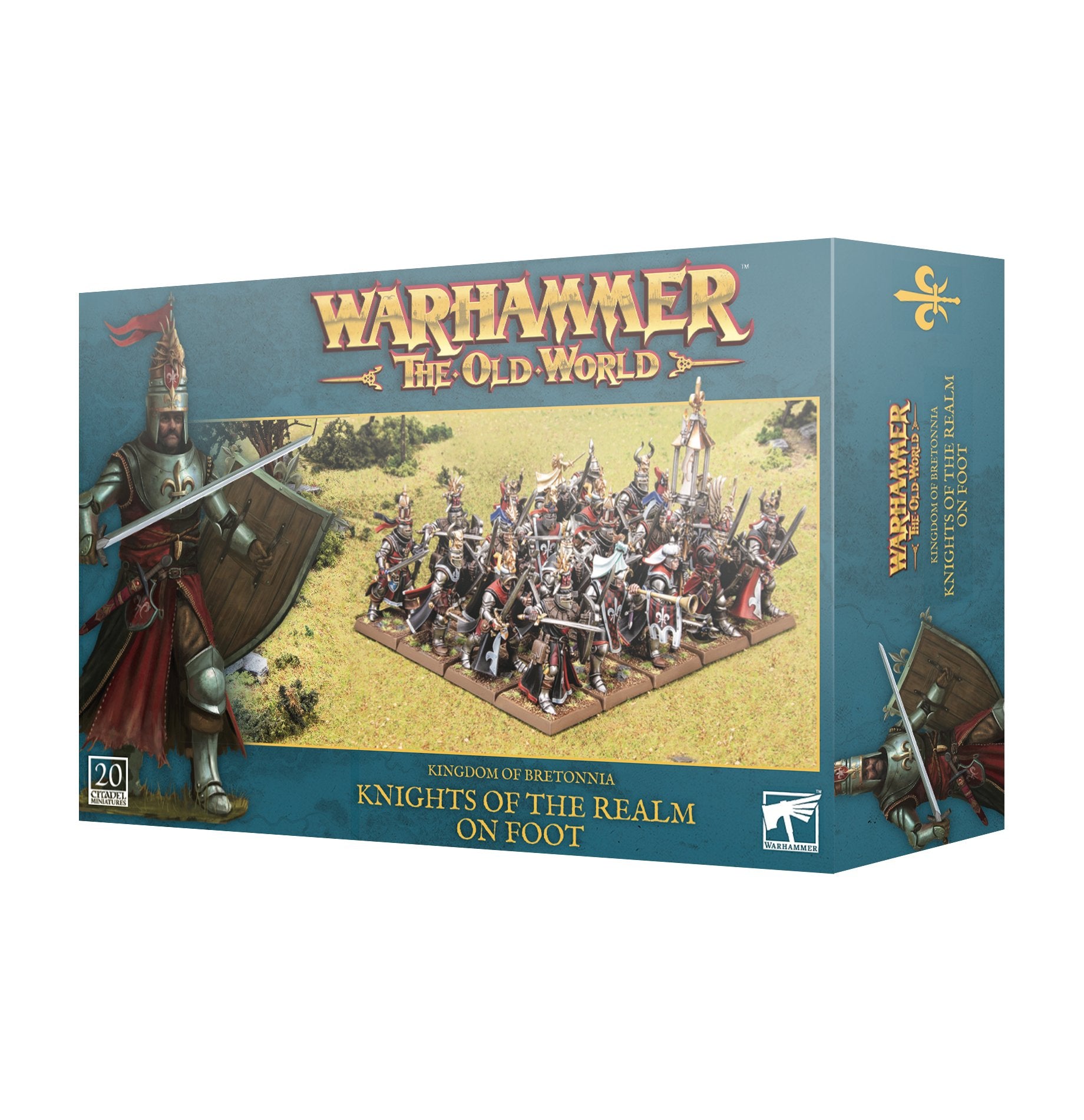 KINGDOM OF BRETONNIA : KNIGHTS OF THE REALM ON FOOT image 0