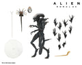 Alien : Romulus - Ultimate Scorched Xenomorph 7" Scale Action Figure image 0