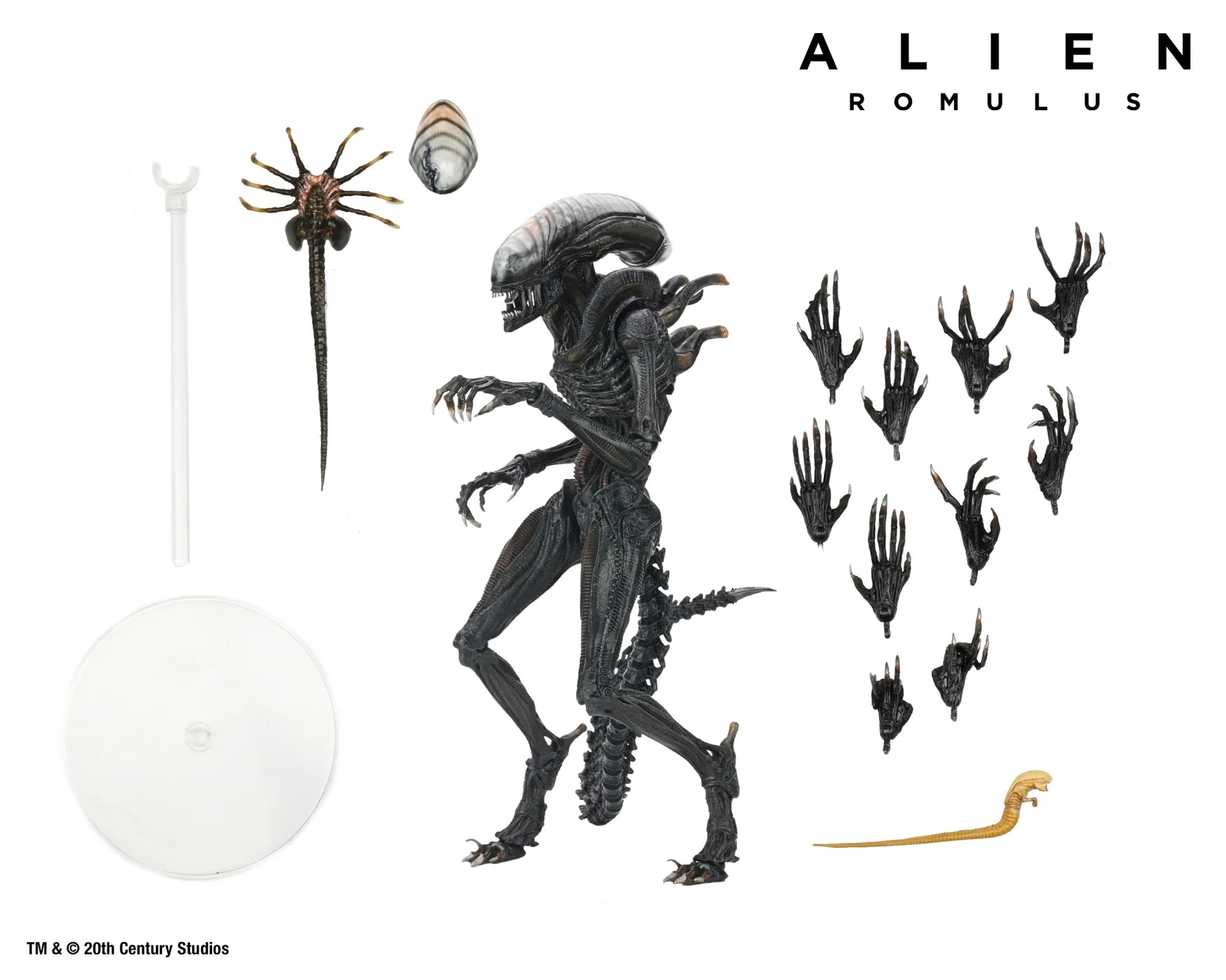 Alien : Romulus - Ultimate Scorched Xenomorph 7" Scale Action Figure image 0