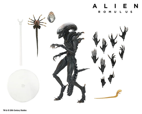 Alien : Romulus - Ultimate Scorched Xenomorph 7" Scale Action Figure image 0