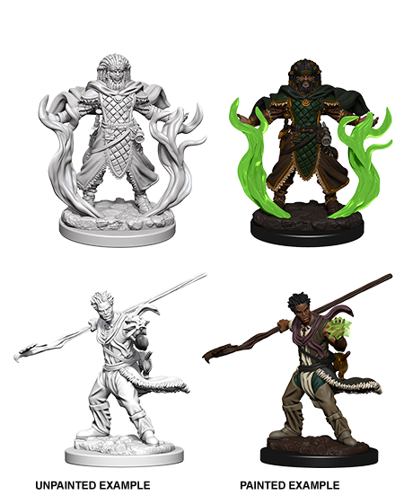 Human Druid ( Male ) - D&D Nolzurs Marvelous Miniatures image 0