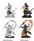 Tiefling Sorcerer - D&D Nolzurs Marvelous Miniatures image 0