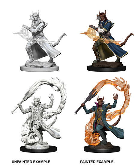 Tiefling Sorcerer - D&D Nolzurs Marvelous Miniatures image 0