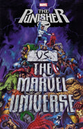 Punisher vs The Marvel Universe image 0