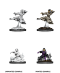 Human Monk ( Female ) - D&D Nolzurs Marvelous Miniatures image 0