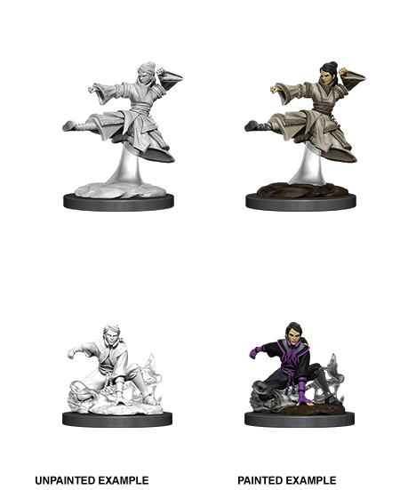 Human Monk ( Female ) - D&D Nolzurs Marvelous Miniatures image 0