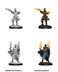 Human Sorcerer ( Male ) - D&D Nolzurs Marvelous Miniatures image 0