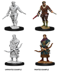 Human Rogue ( Male ) - D&D Nolzurs Marvelous Miniatures image 0