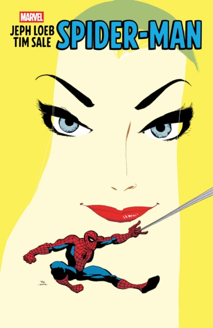 SpiderMan - Jeph Loeb & Tim Sale image 0