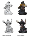Human Wizard ( Female ) - D&D Nolzurs Marvelous Miniatures image 0