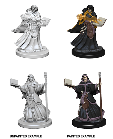 Human Wizard ( Female ) - D&D Nolzurs Marvelous Miniatures image 0